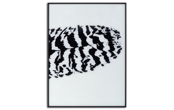 Hill Interiors Black Striped Feather Over 3 Black Glass Frames-21792