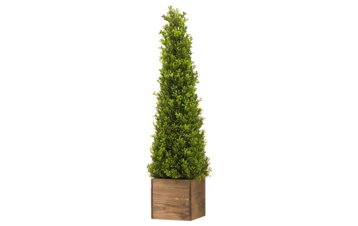 Hill Interiors Large Topiary Pyramid-19630