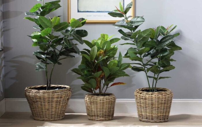 Set of 3 Lined Plant Baskets-41160