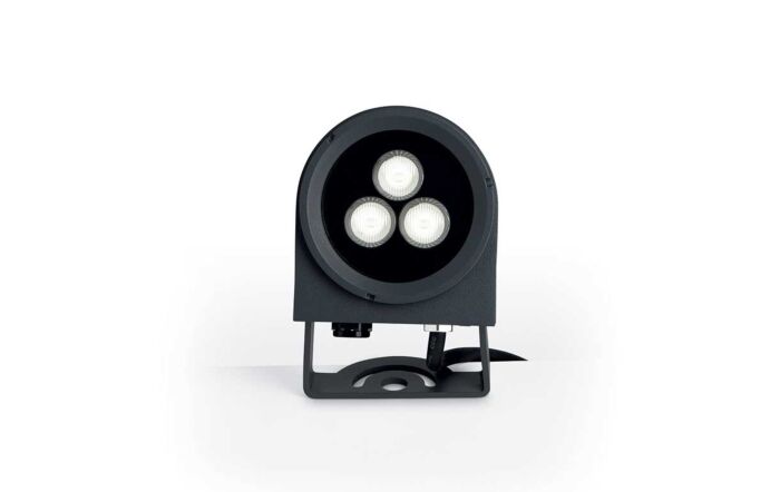 Ulex 08W Source Spotlight -261287