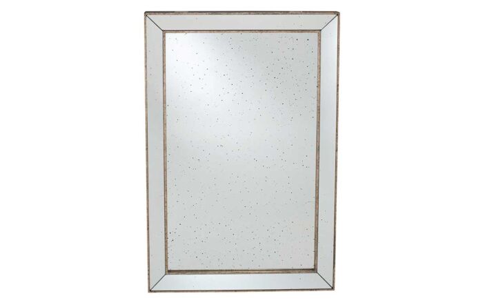 Pacific Lifestyle Antique Gold Metal and Foxed Glass Rectangle Mirror-73-102