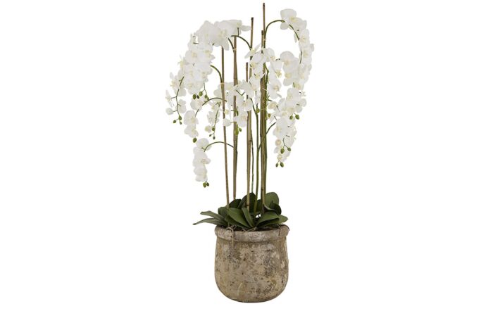 Hill Interiors Large White Orchid in Antique Stone Pot-22641