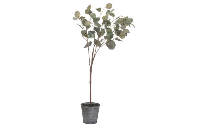 Hill Interiors Eucalyptus Tree In Metallic Pot-21025
