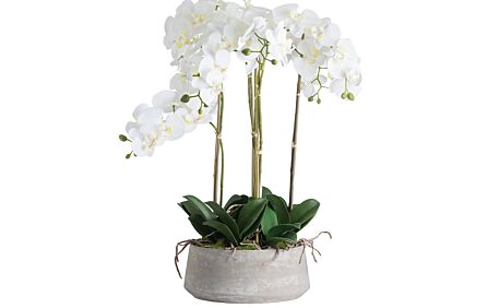 Hill Interiors Large White Orchid in Stone Pot-19960 1
