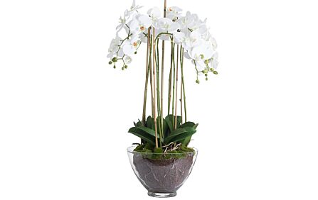 Hill Interiors Large White Orchid in Glass Pot-19959 1