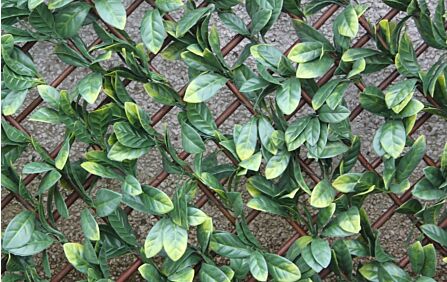 Laurel Leaf Trellis 1