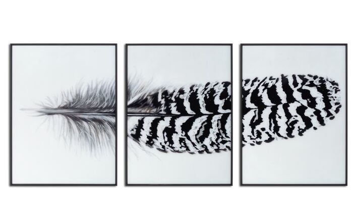 Hill Interiors Black Striped Feather Over 3 Black Glass Frames