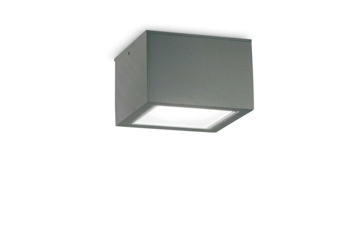 Techo PL1 Big Anthracite Outdoor Wall Light 