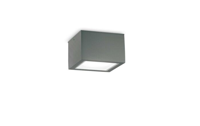 Techo PL1 Small Anthracite Outdoor Wall Light -251554 1