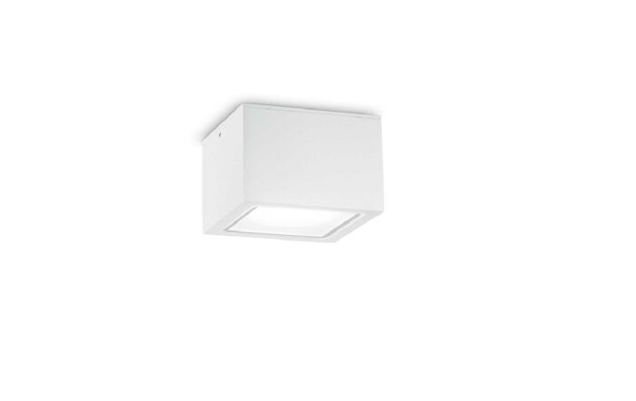 Techo PL1 Small Bianco Outdoor Wall Light 