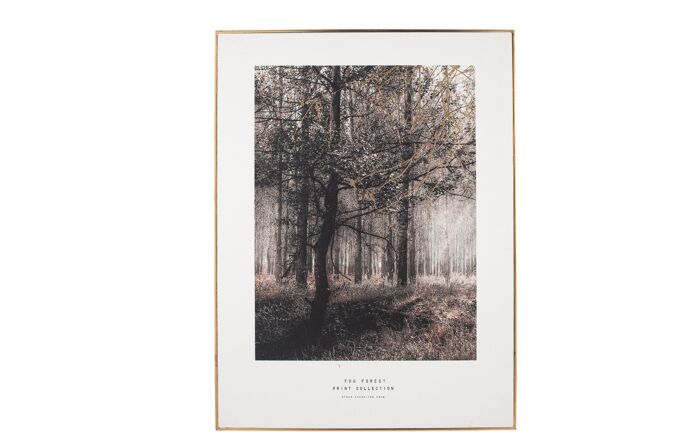 Pacific Lifestyle Mono Forest Trail Print With Gold Detail And Black Frame