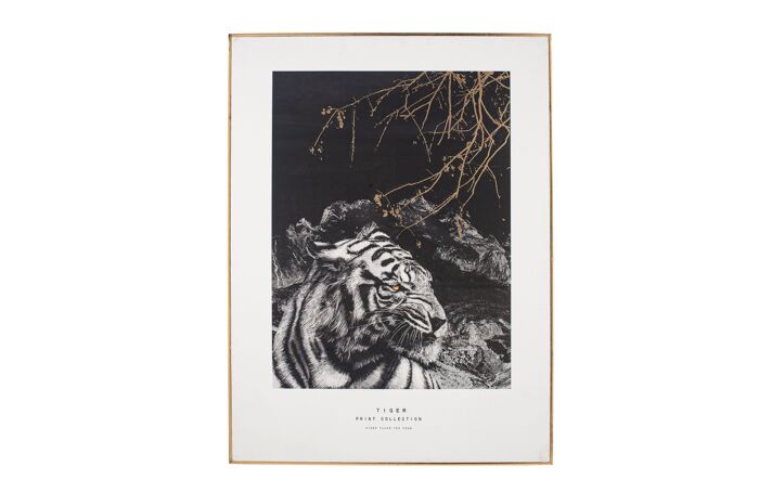 Pacific Lifestyle Mono Tiger Print with Gold Detail and Black Frame