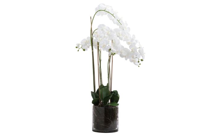 Hill Interiors Large White Tall Orchid in Glass Pot-21228