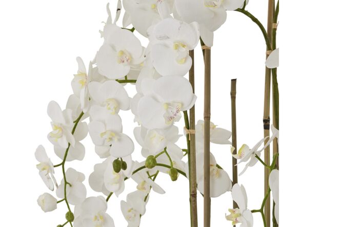 Hill Interiors Large White Orchid in Antique Stone Pot-22641