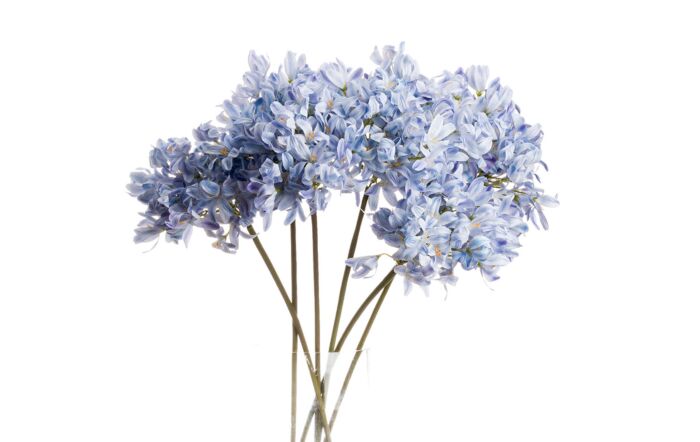 Hill Interiors Coastal Calm Flower Arrangement and Starfish Hurricane-22228 & 20484