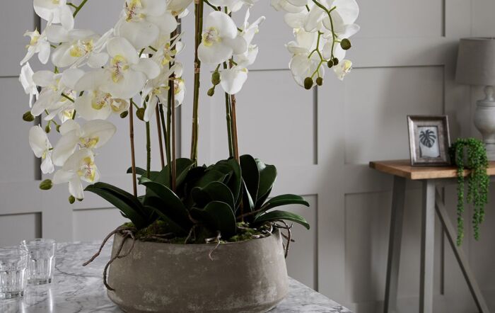 Hill Interiors Large White Orchid in Stone Pot-19960