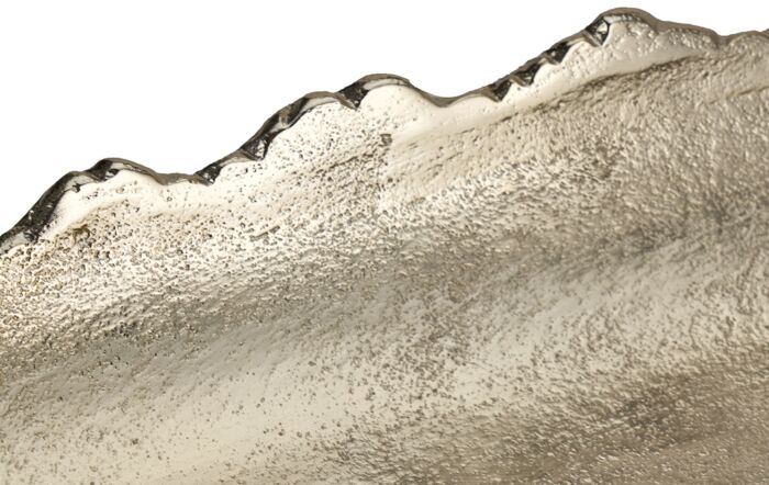 Pacific Lifestyle Champagne Gold Metal Decorative Platter-70-661