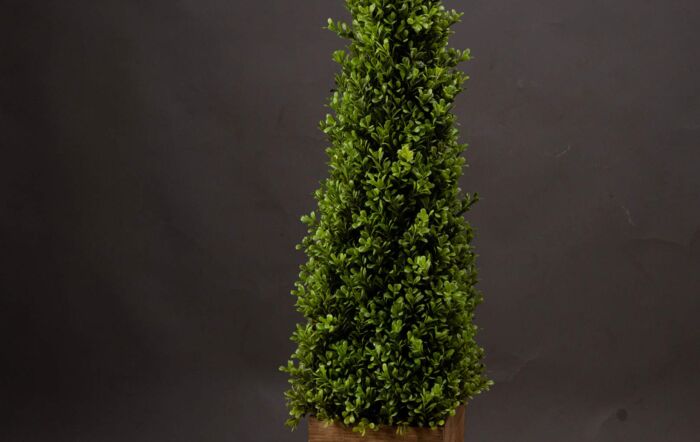 Hill Interiors Large Topiary Pyramid-19630