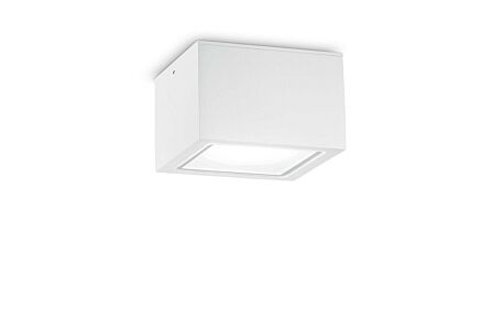 Techo PL1 Big Bianco Outdoor Wall Light  Techo PL1 Big Bianco Outdoor Wall Light
