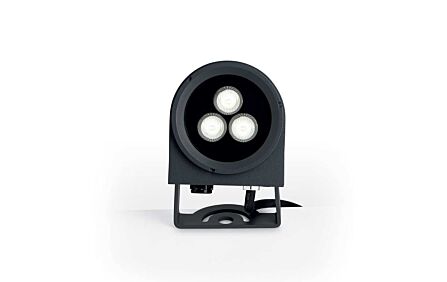 Ulex 08W Source Spotlight  Ulex 08W Source Spotlight