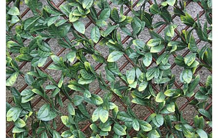 Laurel Leaf Trellis Laurel Leaf Trellis