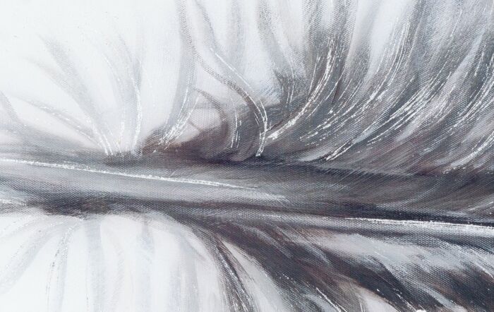 Hill Interiors Black Striped Feather Over 3 Black Glass Frames Hill Interiors Black Striped Feather Over 3 Black Glass Frames