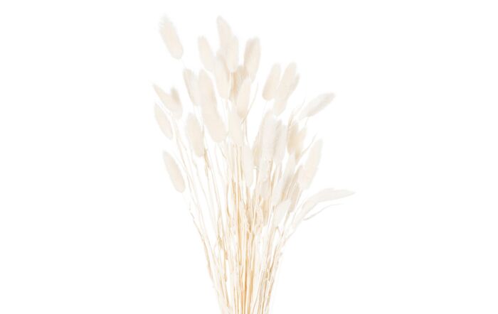 Hill Interiors Coastal Calm Flower Arrangement and Starfish Hurricane