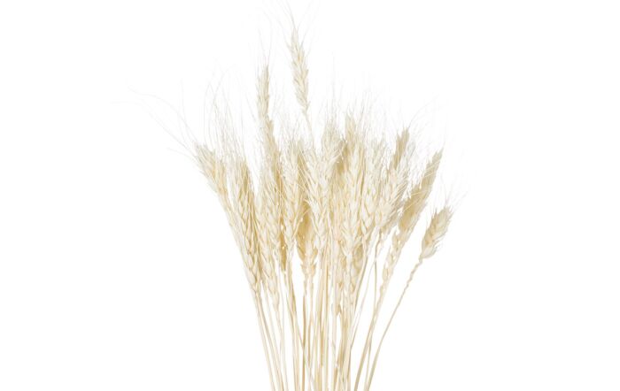 Hill Interiors Coastal Calm Flower Arrangement and Starfish Hurricane