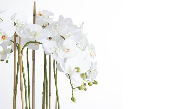 Hill Interiors Large White Orchid in Glass Pot Hill Interiors Large White Orchid in Glass Pot