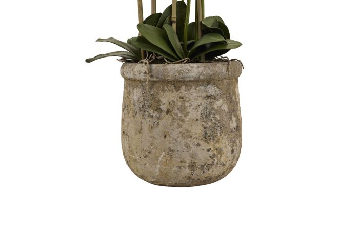 Hill Interiors Large White Orchid in Antique Stone Pot Hill Interiors Large White Orchid in Antique Stone Pot