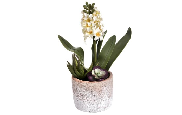 Hill Interiors Potted White Hyacinth