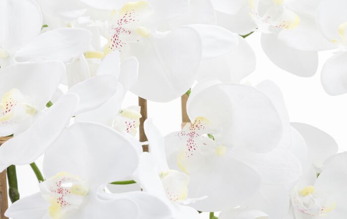 Hill Interiors Large White Tall Orchid in Glass Pot Hill Interiors Large White Tall Orchid in Glass Pot