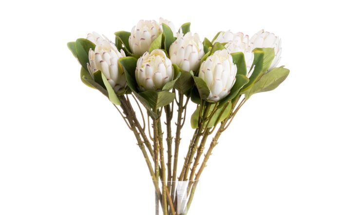 Hill Interiors Coastal Calm Flower Arrangement and Starfish Hurricane-22228 & 20484