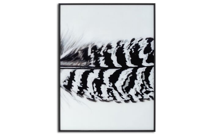 Hill Interiors Black Striped Feather Over 3 Black Glass Frames-21792