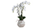 Stone Pot White Orchid